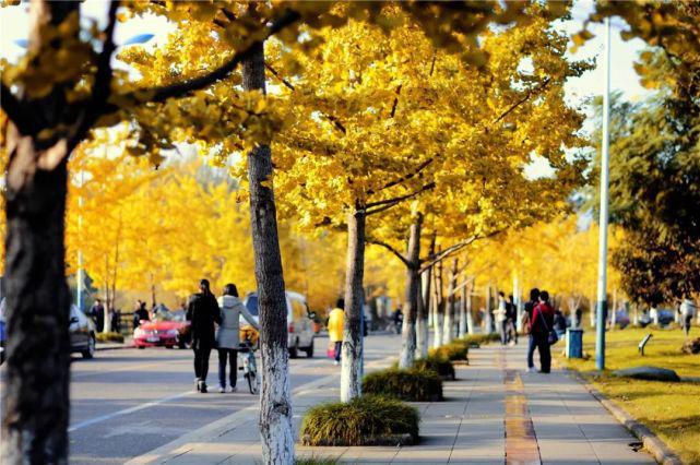 AG九游重庆大学王牌专业:最新最热值得关注!(图2) AG九游重庆大学王牌专业:最新最热值得关注!(图2)