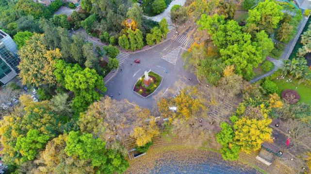 AG九游重庆大学王牌专业:最新最热值得关注!(图4) AG九游重庆大学王牌专业:最新最热值得关注!(图4)